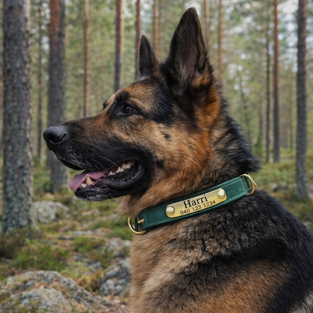 Panta nahkainen - kustomoidulla nimellä